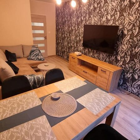 Apartament Szalwiowy شكلارسكا بوريبا المظهر الخارجي الصورة